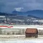 Nahe einer Wohnsiedlung soll der geplante Hühnermastbetrieb (roter Strich) in Tofaiach-Edling gebaut werden.
