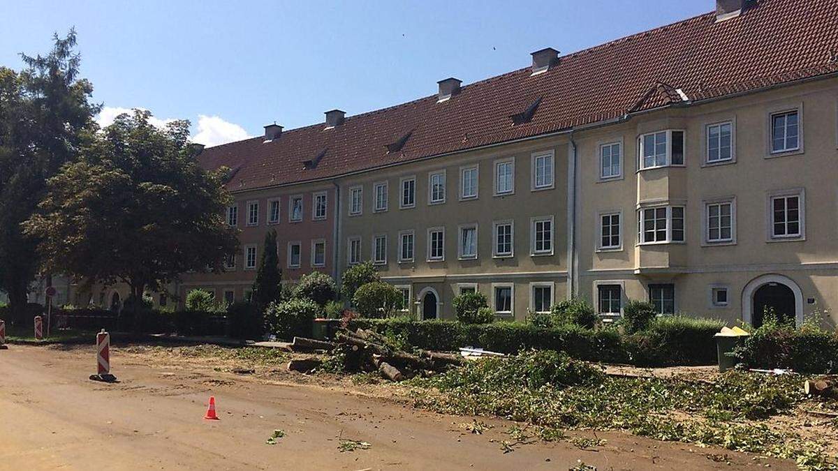 Zehn Bäume werden im Zuge der Umbauarbeiten am Baumbachplatz gefällt