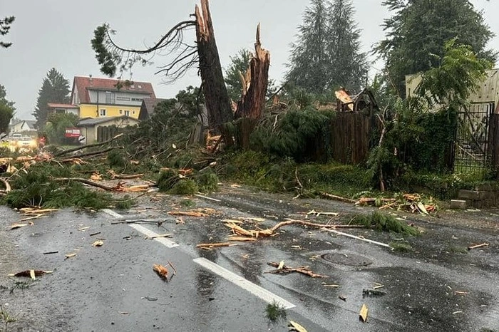 Besonders spektakulär war der Blitzeinschlag in einen großen Baum beim Schloss Alt-Kainach, der dabei regelrecht zerfetzt wurde.