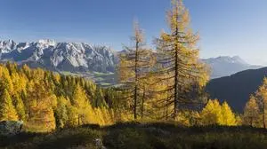 Der Samstag lockt in die Berge.