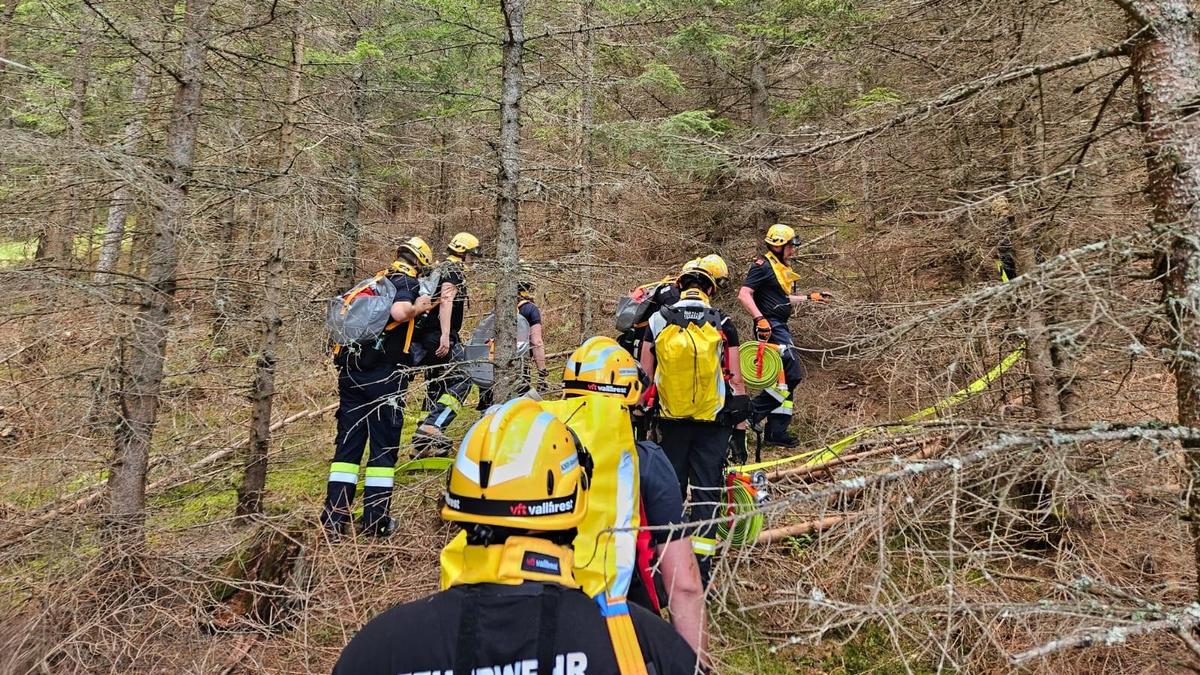 Knapp 40 Feuerwehrleute nahmen an der Waldbrand-Übung teil