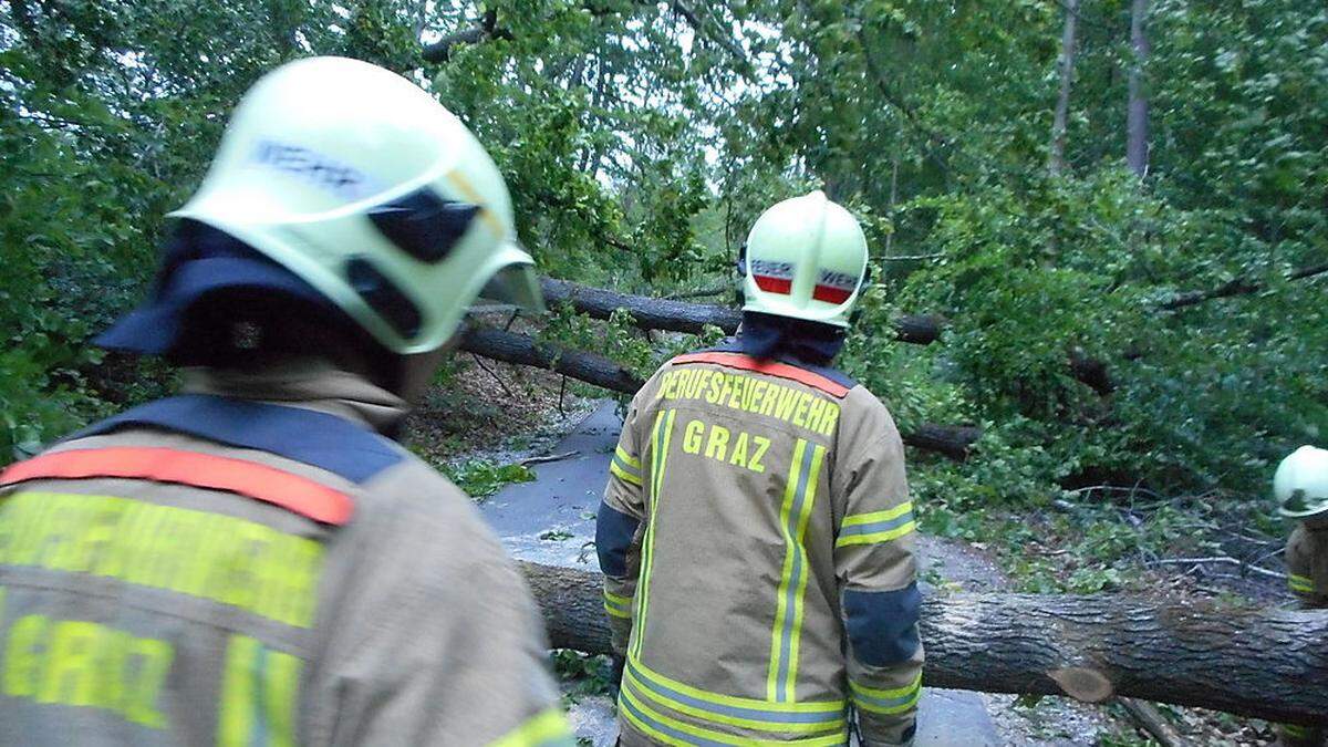 In der Nacht auf Montag hatte die Berufsfeuerwehr bereits 27 Einsätze, um umgefallene Bäume und Äste zu entfernen