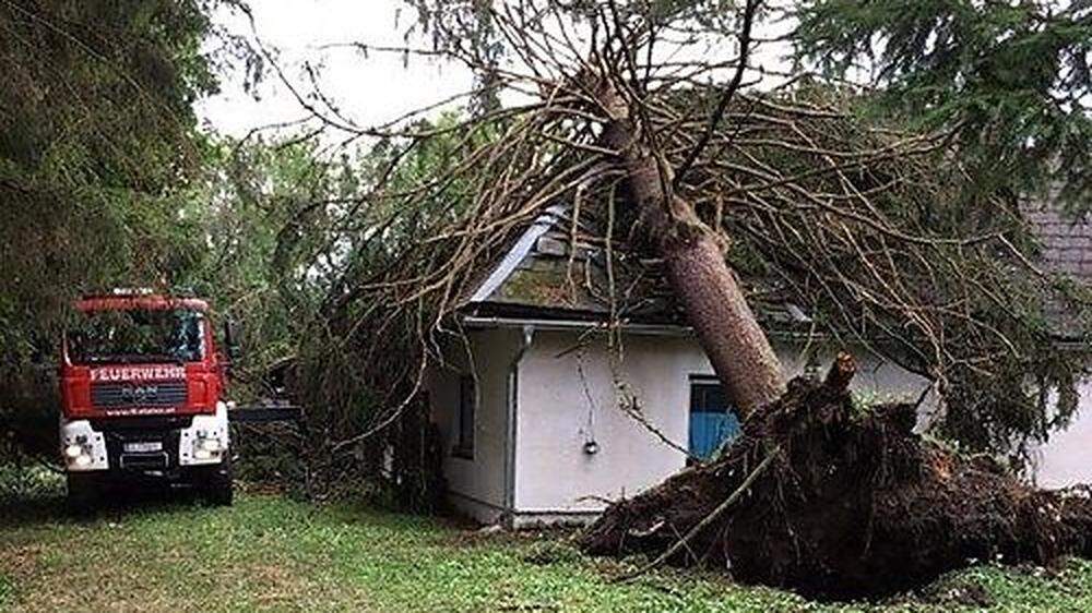 Bäume stürzten auf Häuser, Dächer wurden durch den Sturm abgedeckt