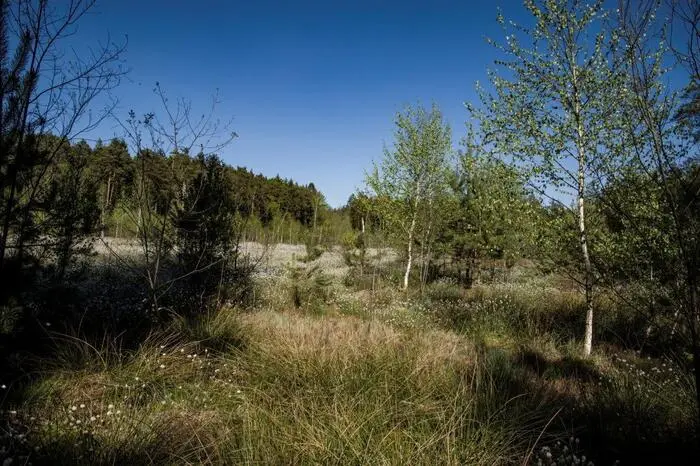 Das Moor wurde 1997 von der Steiermärkischen Berg- und Naturwacht gekauft.