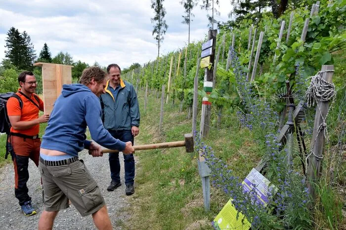 Initiiert und verwirklicht haben diesen Erlebnisweg Bettina Tertinjek vom Serschenhof in Remschnigg, die Gemeinde Leutschach an der Weinstraße wie auch der örtliche Tourismusverein. Nun erfolgte seine offizielle Eröffnung mit rund 70 Gästen, die erstmals diesen Weg über Almgebiet und durch kleine Waldungen vom Anwesen OberGuess bis zum Serschenhof gingen. 