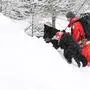 ABD0098_20230118 - FILZMOOS - ÖSTERREICH: ++ THEMENBILD ++  .Medientermin Rotes Kreuz Salzburg "Rotkreuz-Suchhunde bei der Trainingsarbeit"  - Einsatzübung eines Hundeführers des Roten Kreuzes zur Verschüttetenbergung/Lawinenabgang am Mittwoch, 18. Jänner 2023, in Filzmoos. - FOTO: APA/BARBARA GINDL