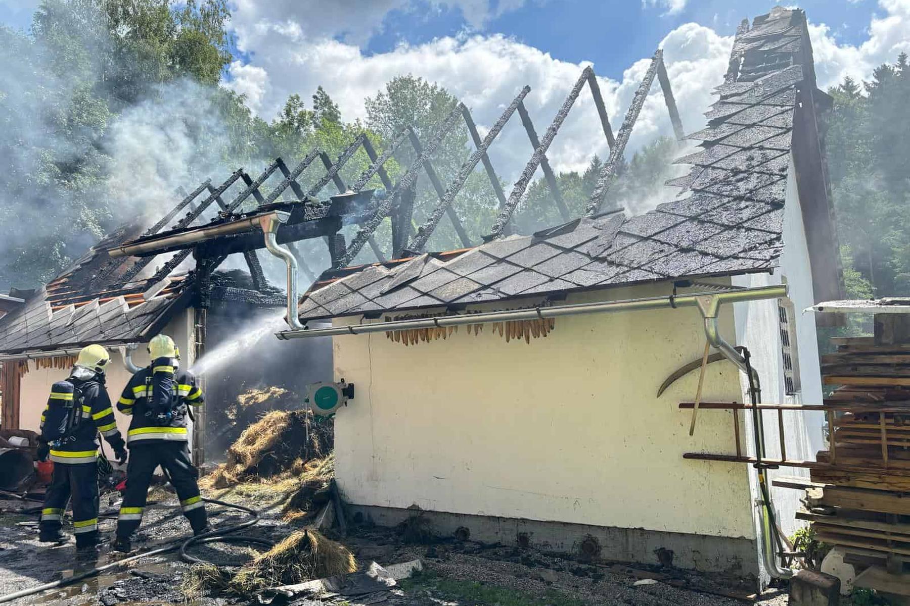 Stall stand in Flammen: Nachbarn retteten Tiere 