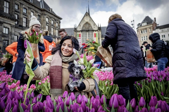 Mit dem Nationalen Tulpentag wird offiziell am dritten Samstag im Jänner in Amsterdam die Tulpensaison eröffnet.