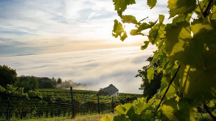Magret Bernschütz hielt ihren Blick vom Ring auf Hartberg mit einer wunderbaren Morgenstimmung im Nebel fest.