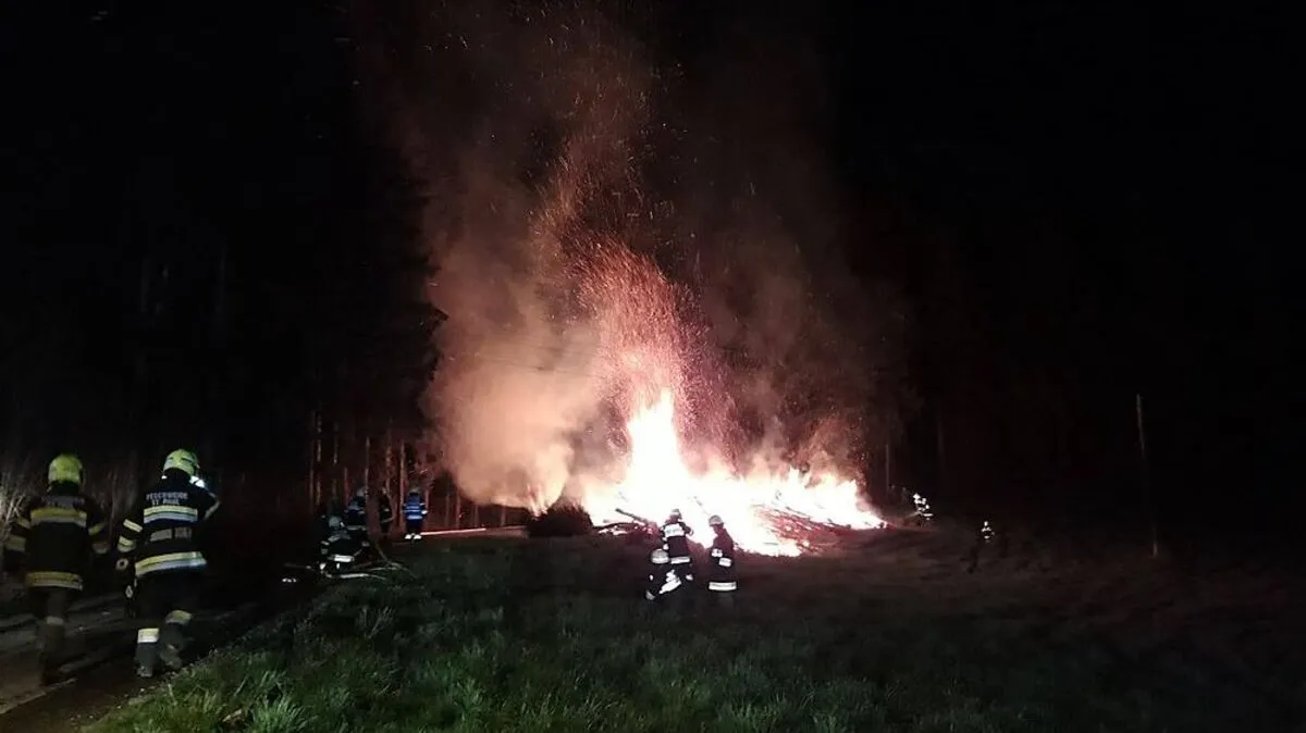 Hinter dem brennenden Holzhaufen befindet sich ein Waldstück 