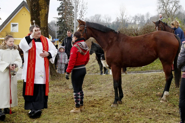 Zur Tradition wurde die Pferdesegnung im Anschluss an die Heilige Messe.