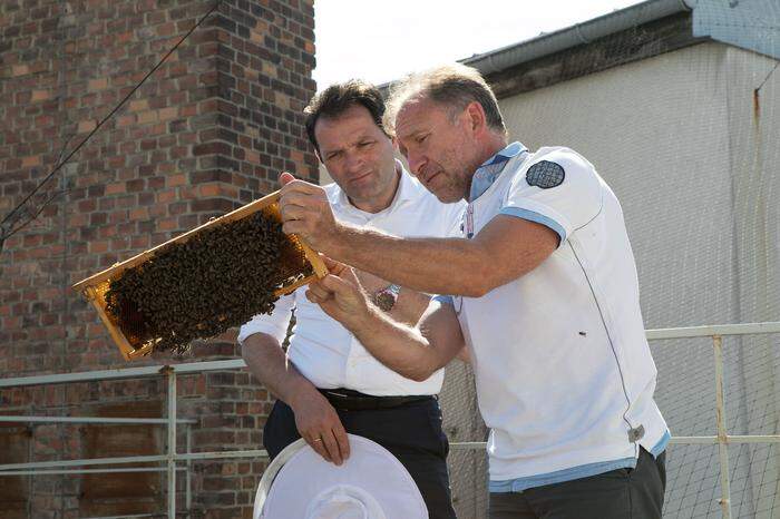 Ministeriumsmitarbeiter und Imker Harald Hör mit Landwirtschaftsminister Norbert Totschnig bei den Bienenstöcken auf dem Dach des Landwirtschaftsministeriums