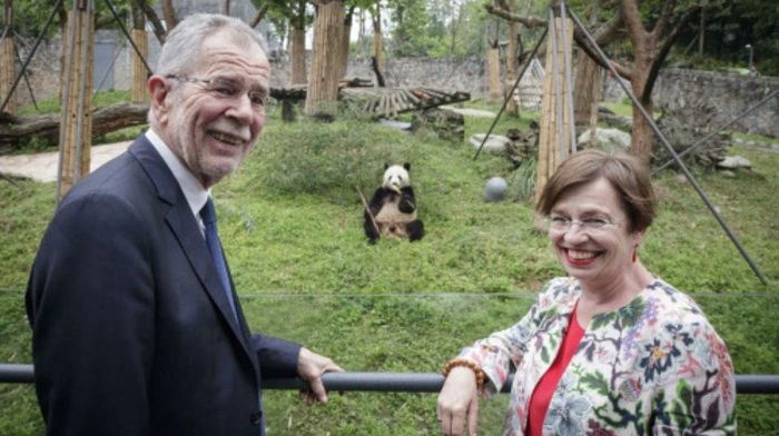 Der potenzielle Kuschelfaktor war groß beim Staatsbesuch im Du Jiangyan Panda Parks in der Nähe von Chengdu, und doch nur theoretisch.