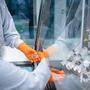 Mitarbeiter des Mainzer Unternehmens Biontech arbeiten in einem Labor. Die Europäische Arzneimittel-Agentur Ema will im Dezember über eine Zulassungsempfehlung entscheiden