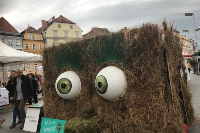 Schauen Sie sich das an und klicken Sie sich durch die Fotoserie.