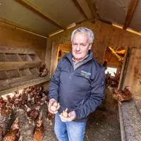 Martin Gfrerer sammelt pro Tag tausende Eier händisch ein