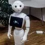 Pepper ist ein humanoider Roboter, der ab Mai im Hotel Kindler als Rezeptionist eingesetzt wird