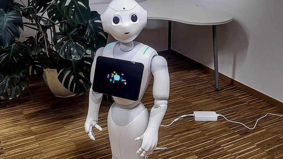 Pepper ist ein humanoider Roboter, der ab Mai im Hotel Kindler als Rezeptionist eingesetzt wird