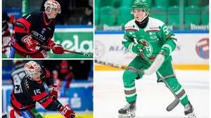 David Waschnig (oben), Maxi Preiml (unten) und Johannes Neumann (rechts) 