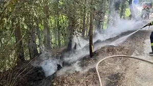 Einen Monat nach Ostern begannen Reste eines Osterhaufens in St. Andrä im Lavanttal zu brennen und lösten einen Waldbrand aus