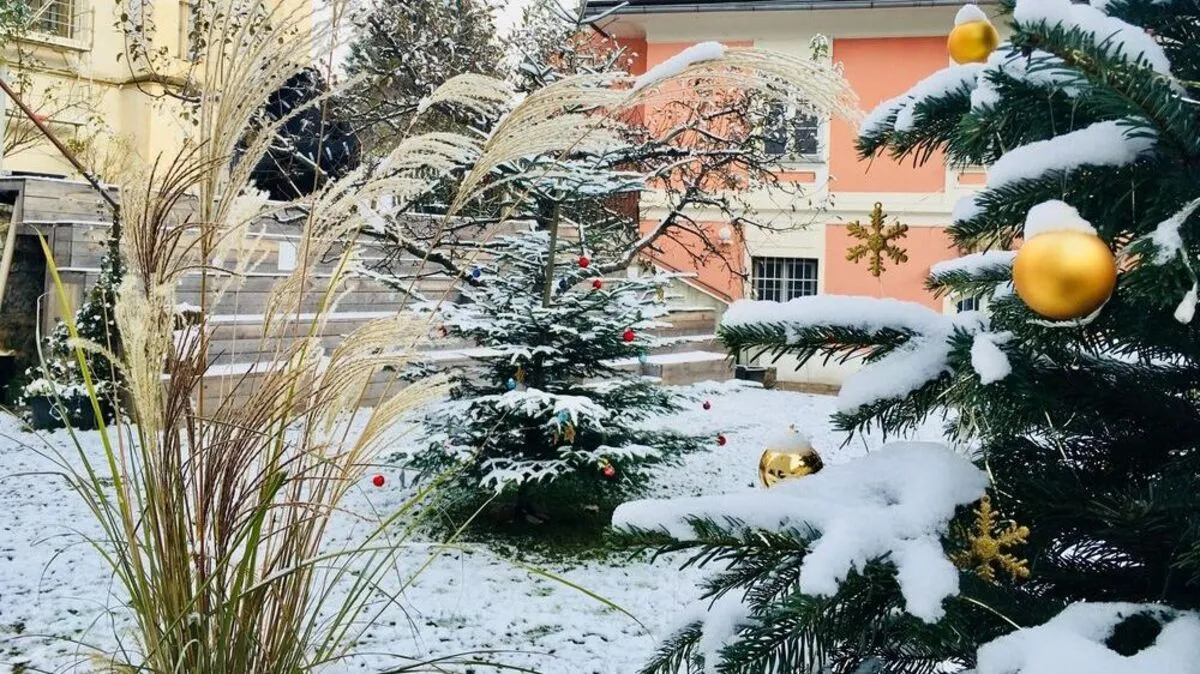 Am Donnerstag wurde am Vormittag vorweihnachtlich weiß