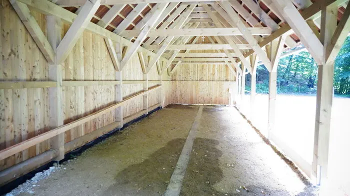 Acht Stationen umfasst der neue Abenteuerweg am Demmerkogel in St. Andrä-Höch, der am 2. August eröffnet wird.