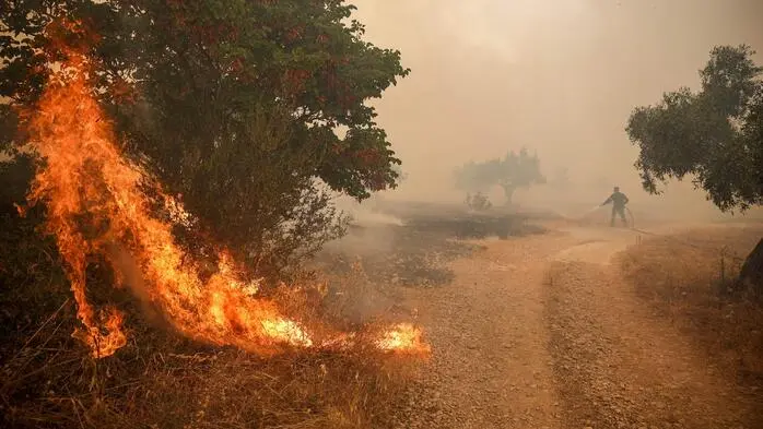 Verzweifelter Kampf gegen die Flammen bei Loumpa in der Viotia-Region nahe Athen