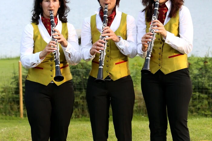 .....und das Klarinetten-Trio (Foto) der Stadtkapelle St. Veit mit.