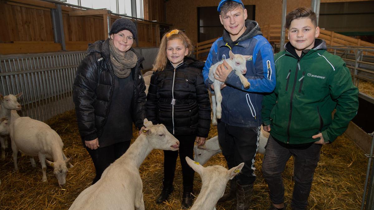 Ziegennachwuchs im Stall von Familie Oschounig