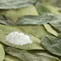 Sujetbild