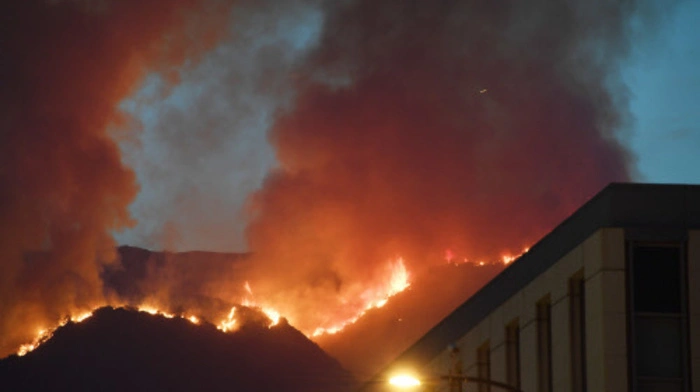 Großeinsatz der Feuerwehr in Los Angeles: 800 Feuerwehrleute haben am Wochenende gegen ein Buschfeuer am Rand der kalifornischen Millionenmetropole gekämpft.