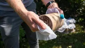 Im vergangenen Sommer wurden die Sterile-Insekten-Technik in einem Testgebiet in Graz erprobt