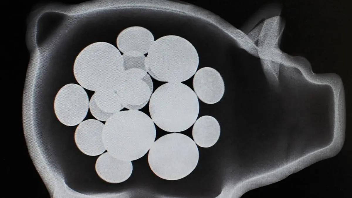 ARCHIV - ILLUSTRATION - Eine Röntgenaufnahme eines Sparschweins mit Geldstücken ist am 10.06.2010 in München (Oberbayern) auf dem Bildschirm eines Radiologen zu sehen. Am 30. Oktober ist Weltspartag. Im Jahr 2012 legten die Deutschen im Schnitt 10,3 Prozent ihres Einkommens zur Seite. Foto: Peter Kneffel/dpa (zu dpa-Hintergrund "Am 30. Oktober: Weltspartag" vom 30.10.2013) +++(c) dpa - Bildfunk+++