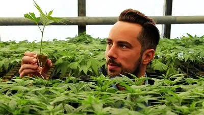 Wie Crowdfunding das Image von Cannabis �ndert