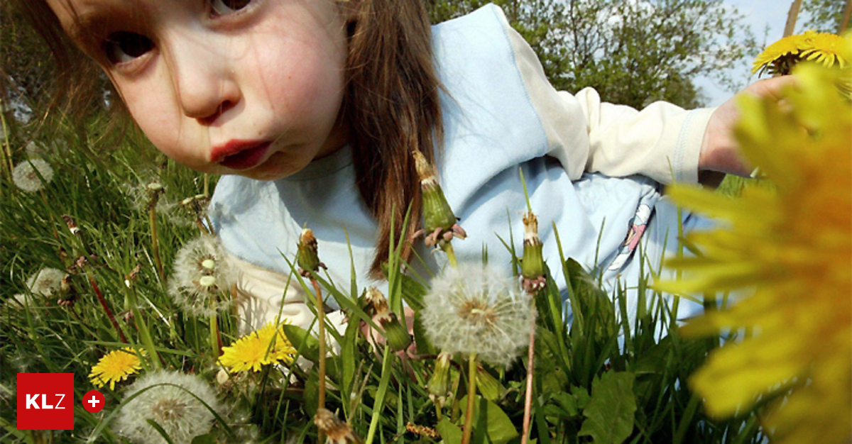 Kitzeln In Der Nase 8 Buchstaben Wenn Pollen in der Nase kitzeln