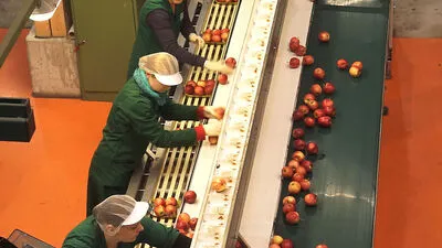 Bei Steirerfrucht geht es vorerst weiter. Die Gläubiger sollen binnen 24 Monaten 20 Prozent der ausstehenden Zahlungen erhalten  