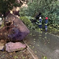 Die Stadtfeuerwehr Pinkafeld war im Dauereinsatz