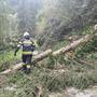 In der Region um Stainz sorgten die Feuerwehren für die Beseitigung von Sturmschäden