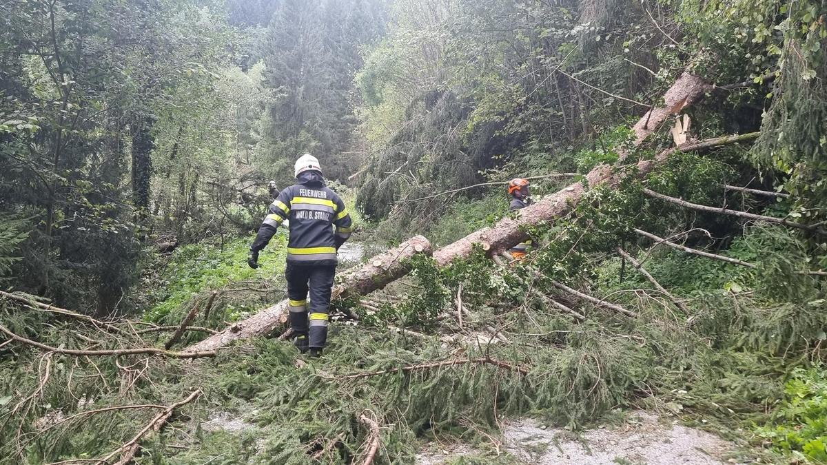 In der Region um Stainz sorgten die Feuerwehren für die Beseitigung von Sturmschäden