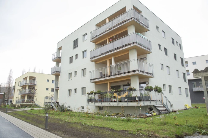 Das Projekt „Reininghaus Süd“ gewann den ÖGUT-Umweltpreis und Nominierungen für den Österreichischen Klimaschutzpreis sowie für den Holzbaupreis Steiermark.