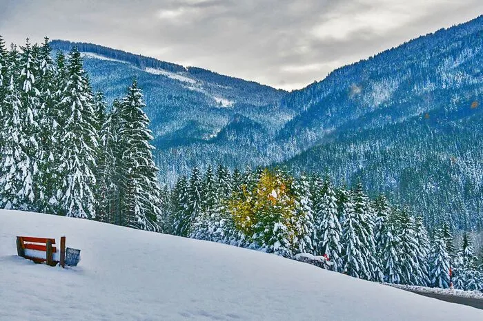 ... sie zeigen den Neuschnee pünktlich zum Wochenstart bei einer Fahrt zur Kaiserau