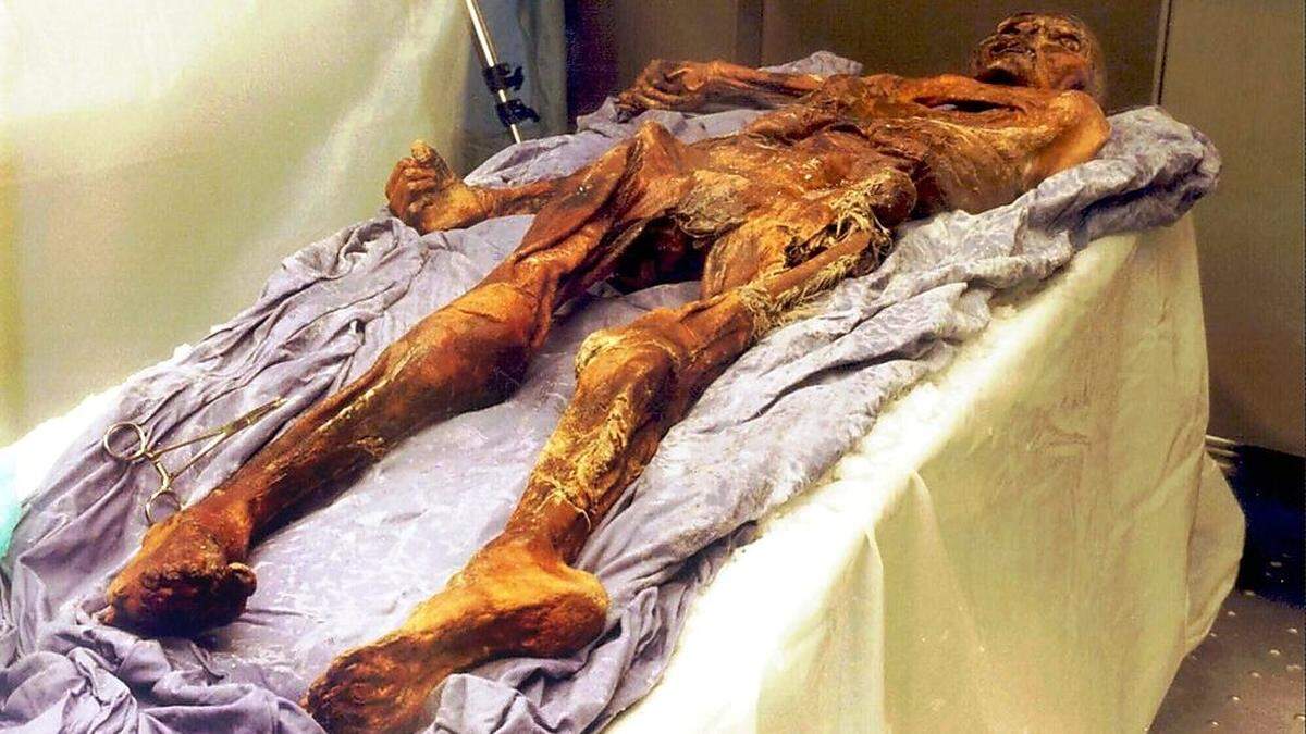 Undatiertes Foto von Ötzi, kurz nach seinem Fund 1991. 