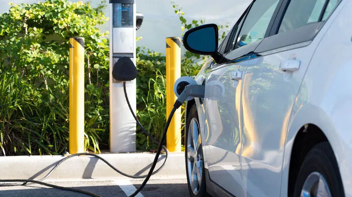 E-Autos werden auf den Straßen immer präsenter