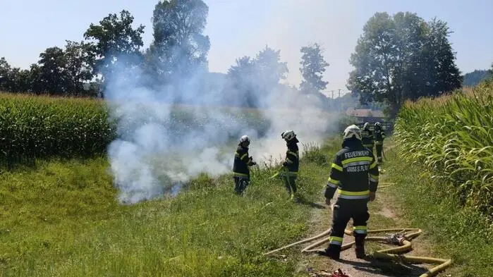 Die Feuerwehr brachte den Brand rasch unter Kontrolle