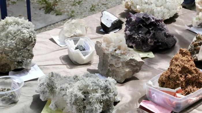 Die Stadt Friesach stand den ganzen Sonntag über im Mittelpunkt einer großen Mineralien- und Fossilienbörse. 