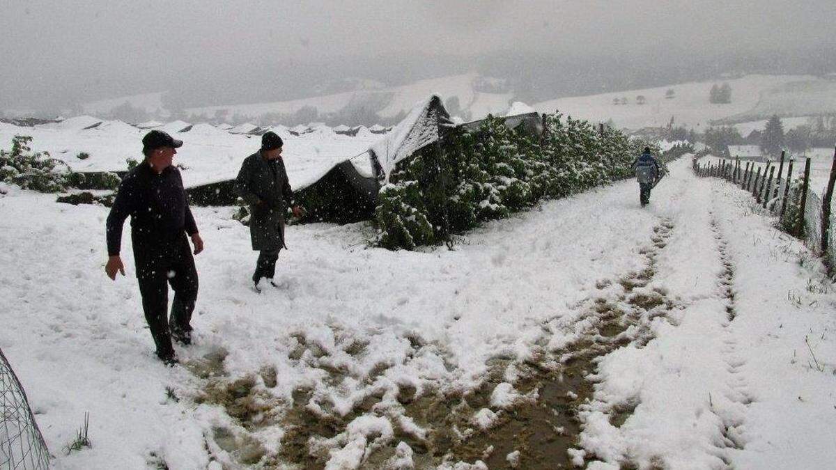 Zerstörte Plantagen am Betrieb der Familie Fellner im April