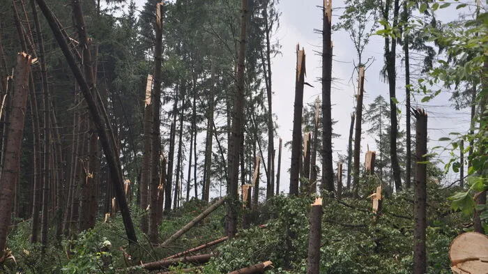 Die Voitsberger Fripertingerstraße wurde von dem Hagelunwetter am Freitag besonders schwer getroffen. Bäume stürzten über die Straße...