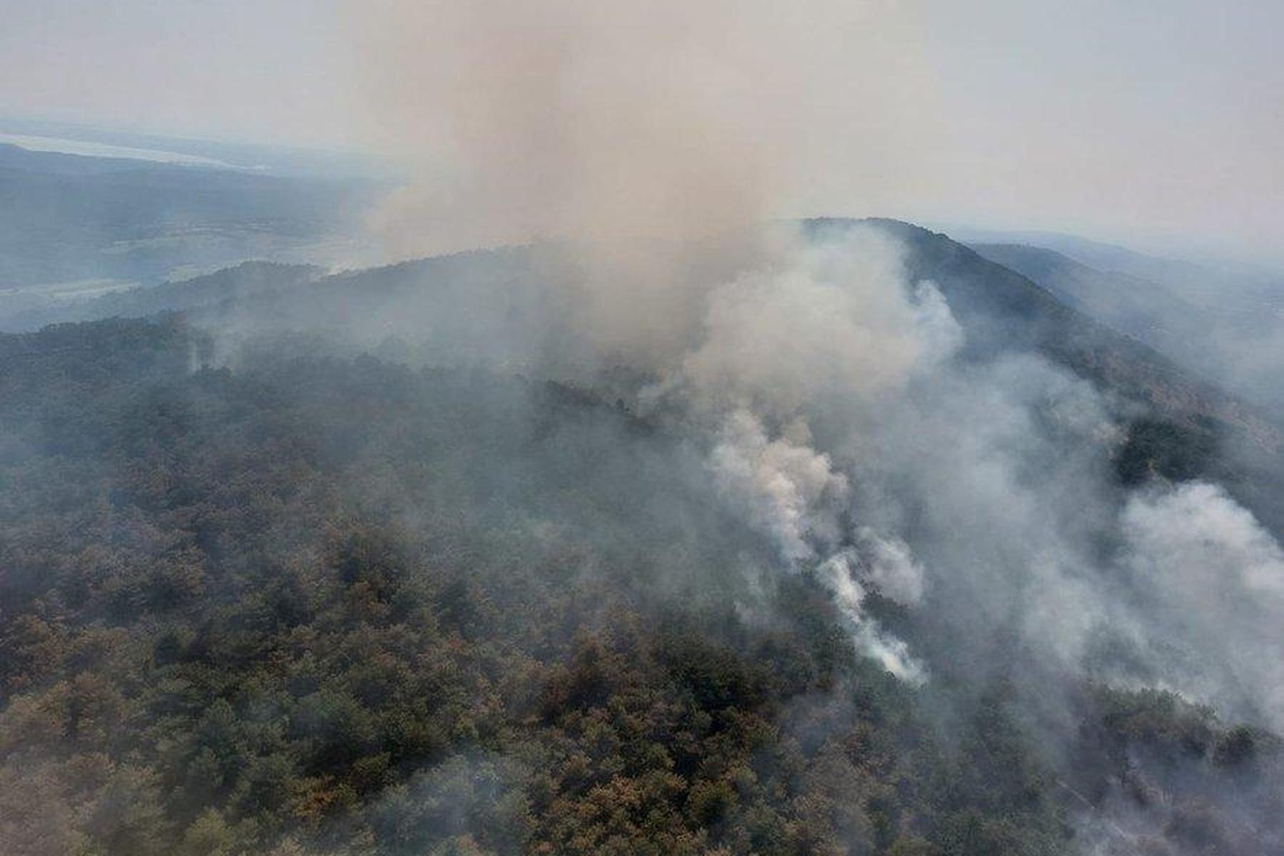 150 Hektar: Waldbrand in Slowenien: Löschflugzeuge und 480 Feuerwehrkräfte im Einsatz