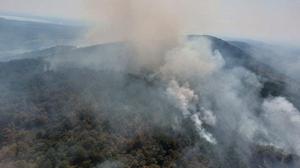 150 Hektar Wald in Slowenien steht in Flammen