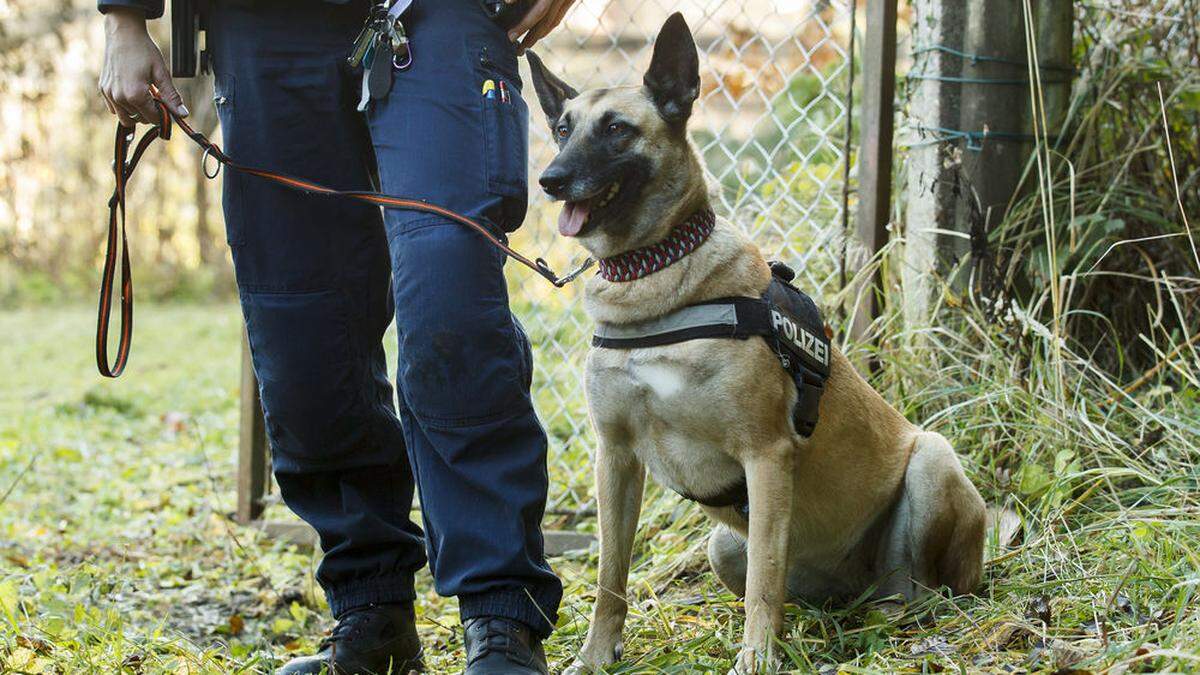 Auch eine Hundestreife war im Einsatz (Symbolbild)